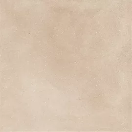 Image without description