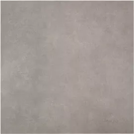 Image without description