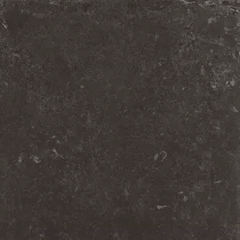 Image without description