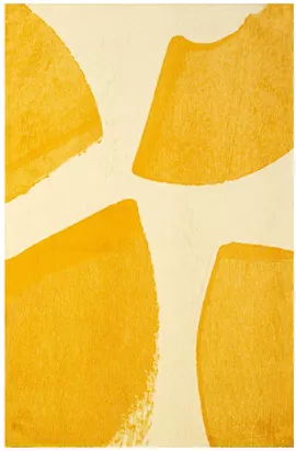 Image without description