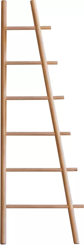 Image without description