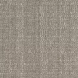 Image without description