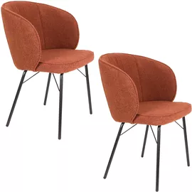 Image without description