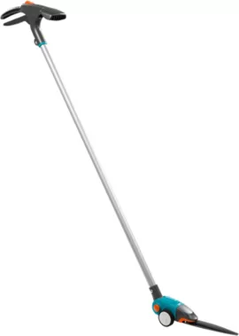 Image without description