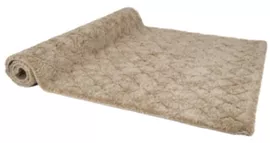 Image without description