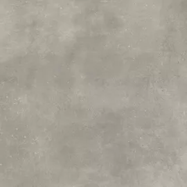 Image without description
