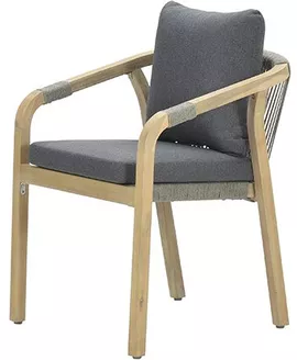 Image without description