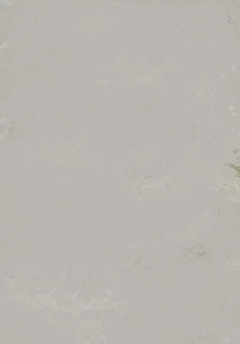 Image without description