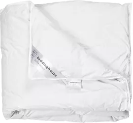 Image without description