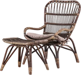 Image without description