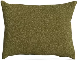 Image without description