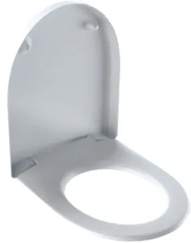 Image without description