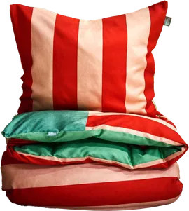 Image without description