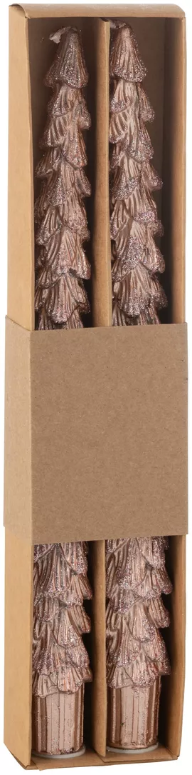 Image without description