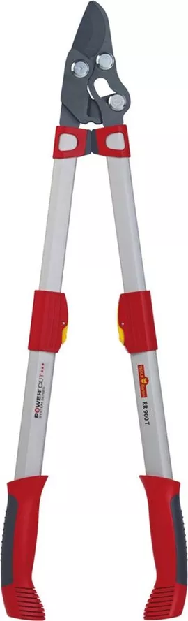 Image without description