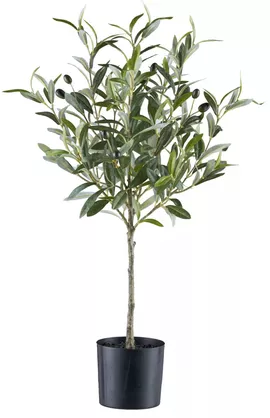 Image without description