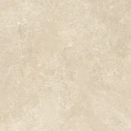 Image without description