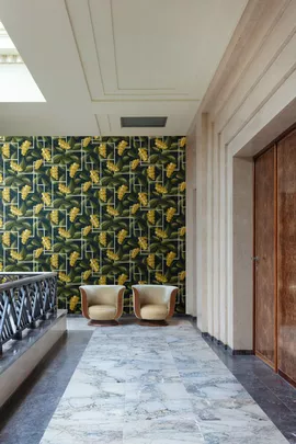 Image without description