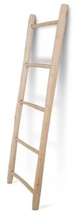 Image without description