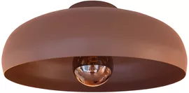 Image without description