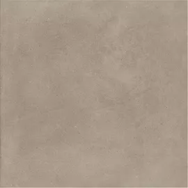Image without description