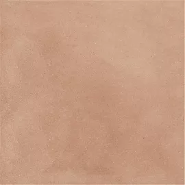 Image without description