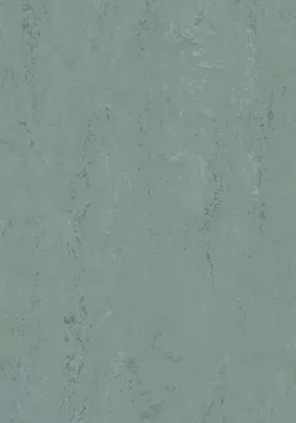 Image without description