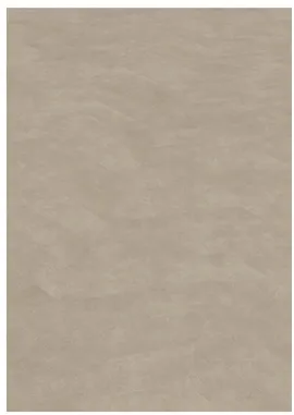 Image without description
