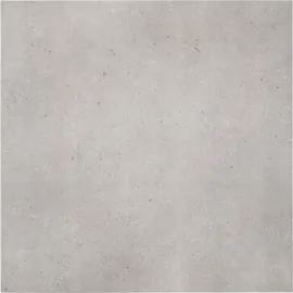 Image without description