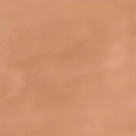 Image without description