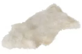 Image without description