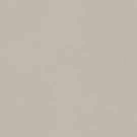 Image without description