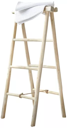 Image without description