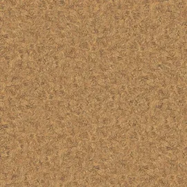 Image without description
