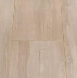 Image without description