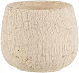 Image without description