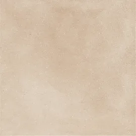 Image without description