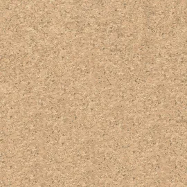 Image without description