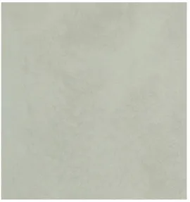 Image without description