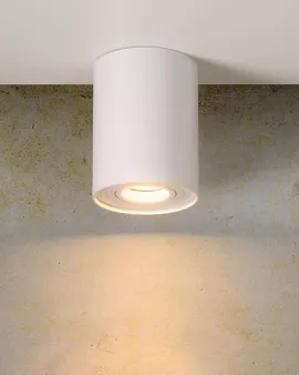 Image without description