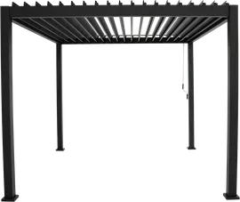 Image without description