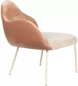 Image without description