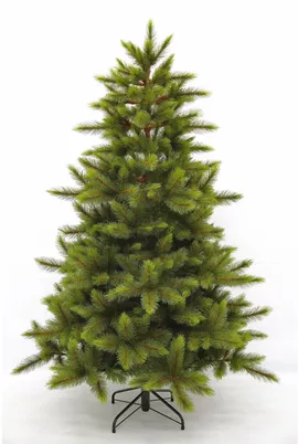 Image without description