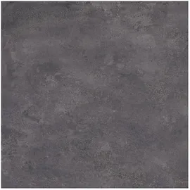 Image without description