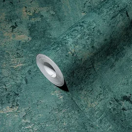 Image without description