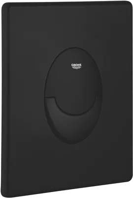 Image without description