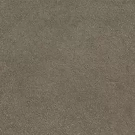 Image without description