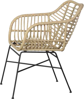 Image without description