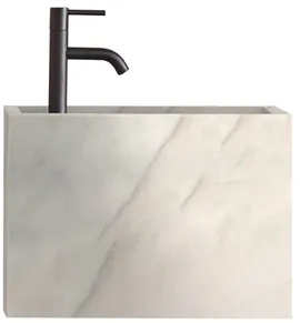 Image without description