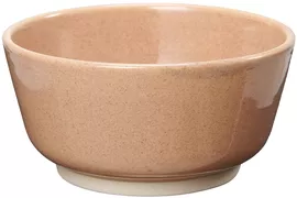 Image without description